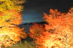 山中湖 紅葉ライトアップ-006