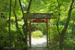 鎌倉-271