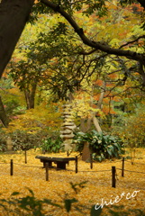 三渓園-314