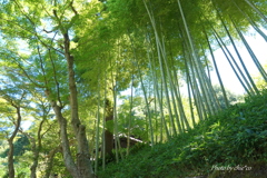 北鎌倉-162