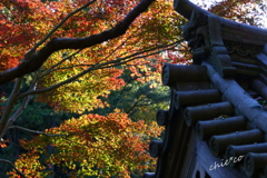 三渓園-398
