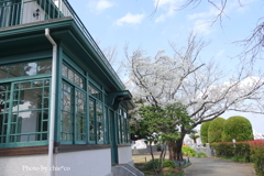 山手イタリア山庭園-142