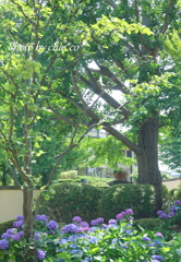 イタリア山庭園-178