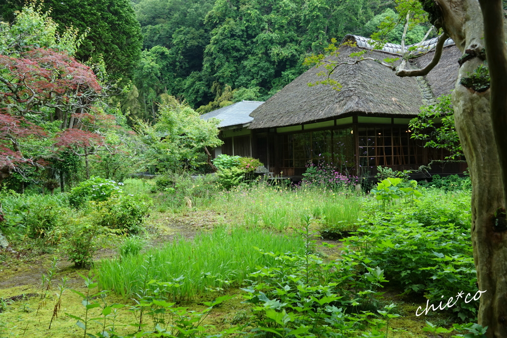 浄智寺-117