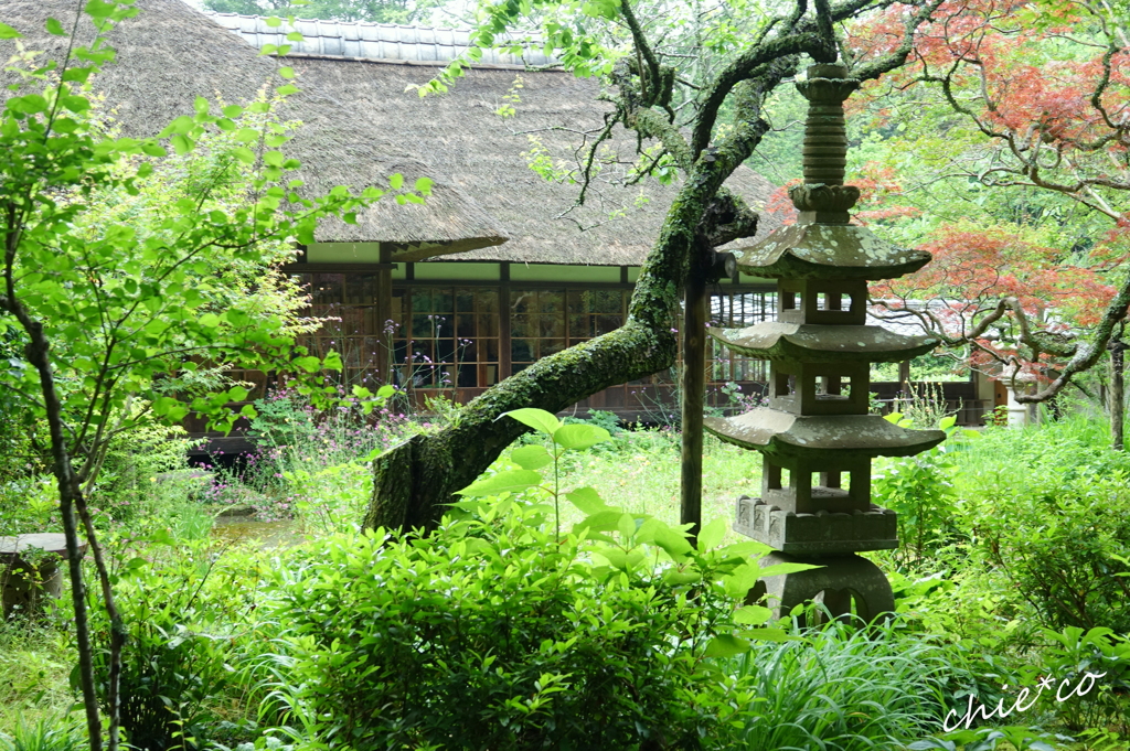 浄智寺-116