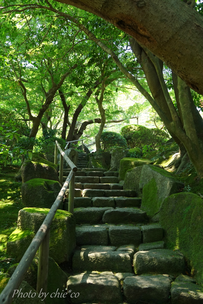 鎌倉-238
