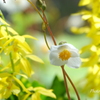 山手～山下公園さんぽ-117