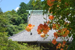 鎌倉-100