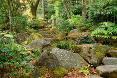 岡田美術館庭園-084