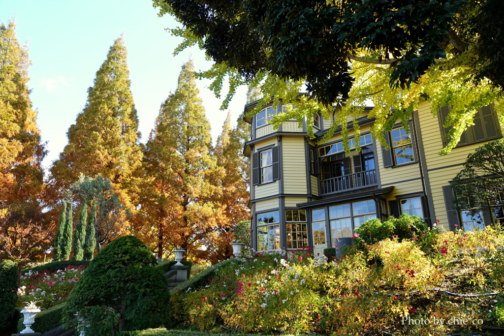 山手イタリア山庭園-170