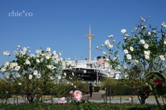 白薔薇と。。氷川丸と。。