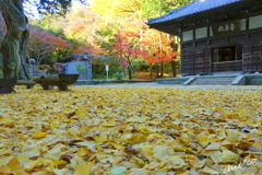 北鎌倉-284