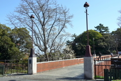 港の見える丘公園-169