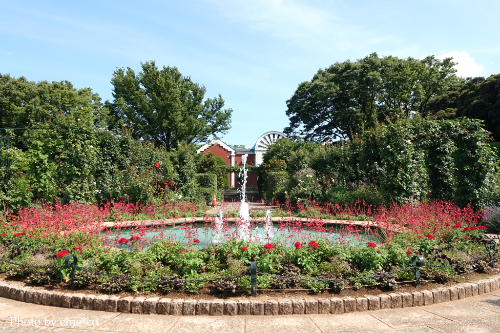 港の見える丘公園-075