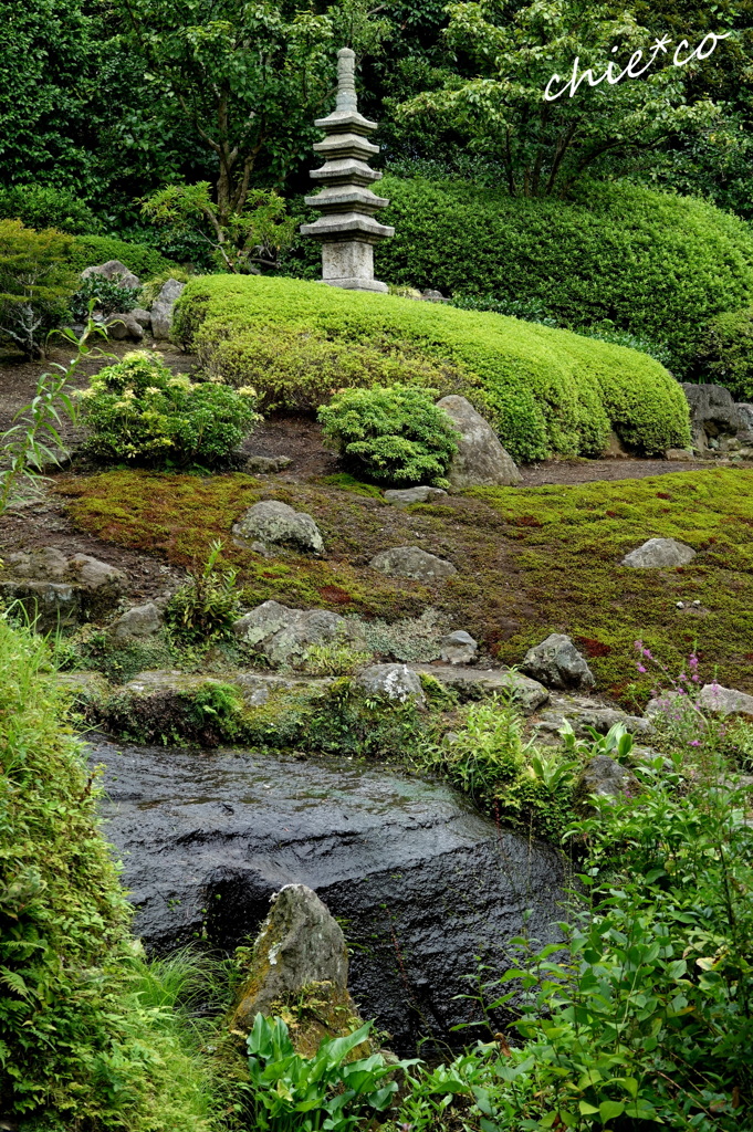 葉月の鎌倉海蔵寺にて。。1