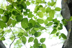 久良岐公園-150
