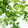 久良岐公園-150