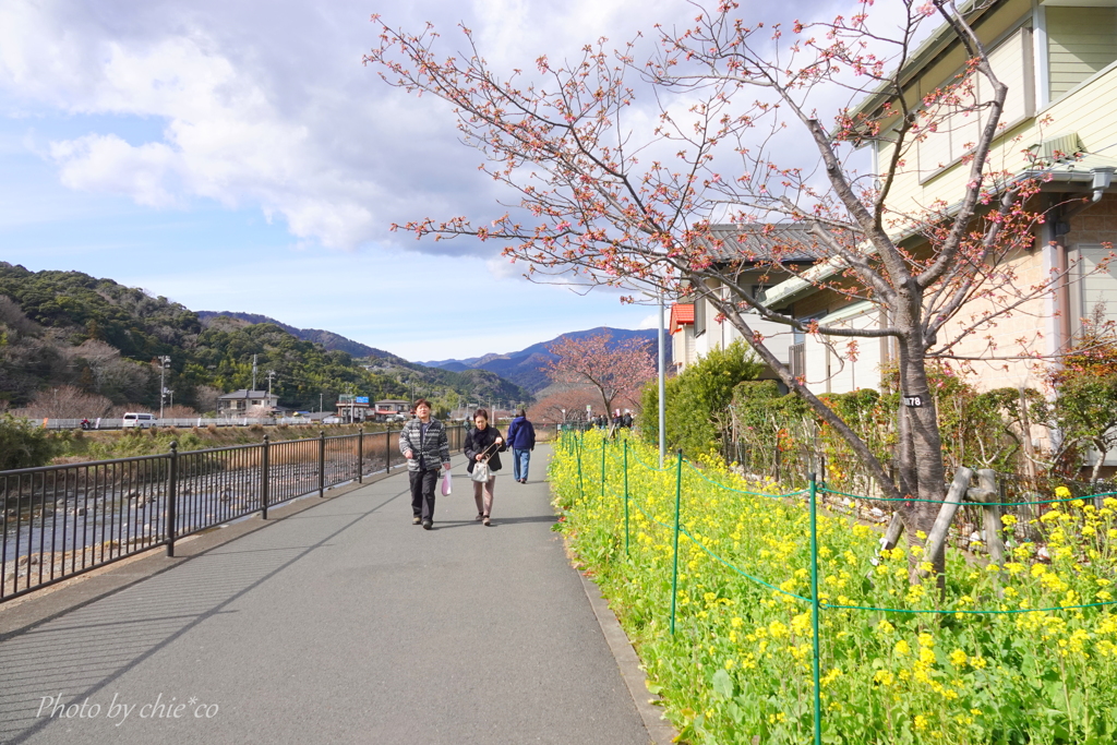 河津町-110