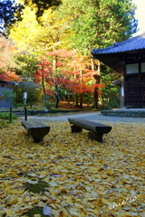 北鎌倉-287