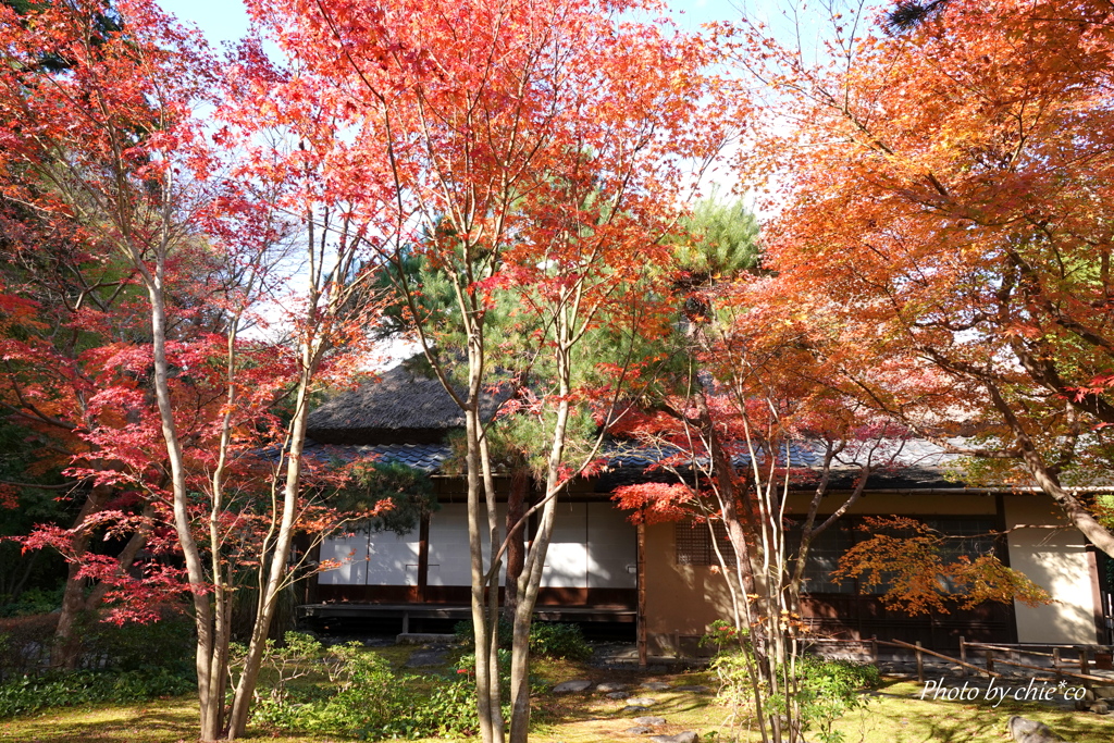 一条恵観山荘-108