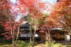 一条恵観山荘-108