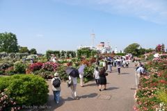 山下公園-101