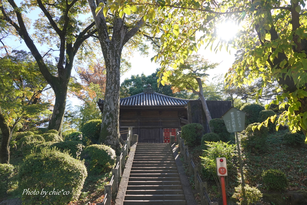 川越-068
