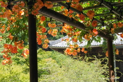鎌倉-096