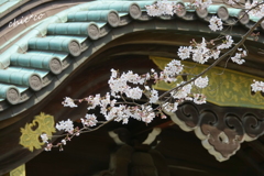 鎌倉-337