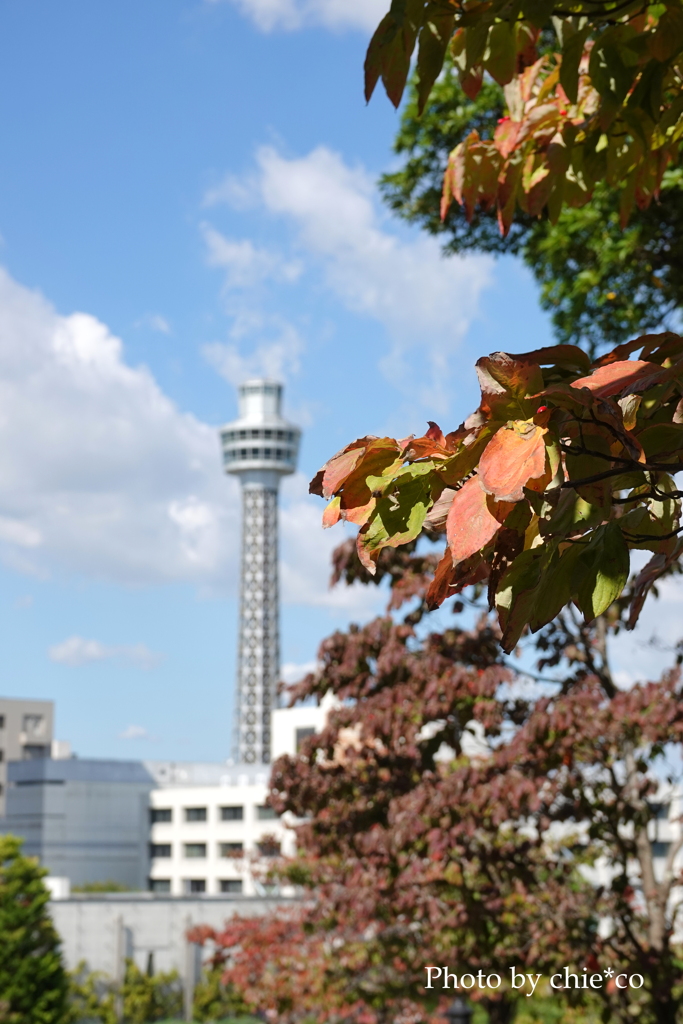 アメリカ山公園-068