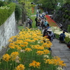 西方寺-205