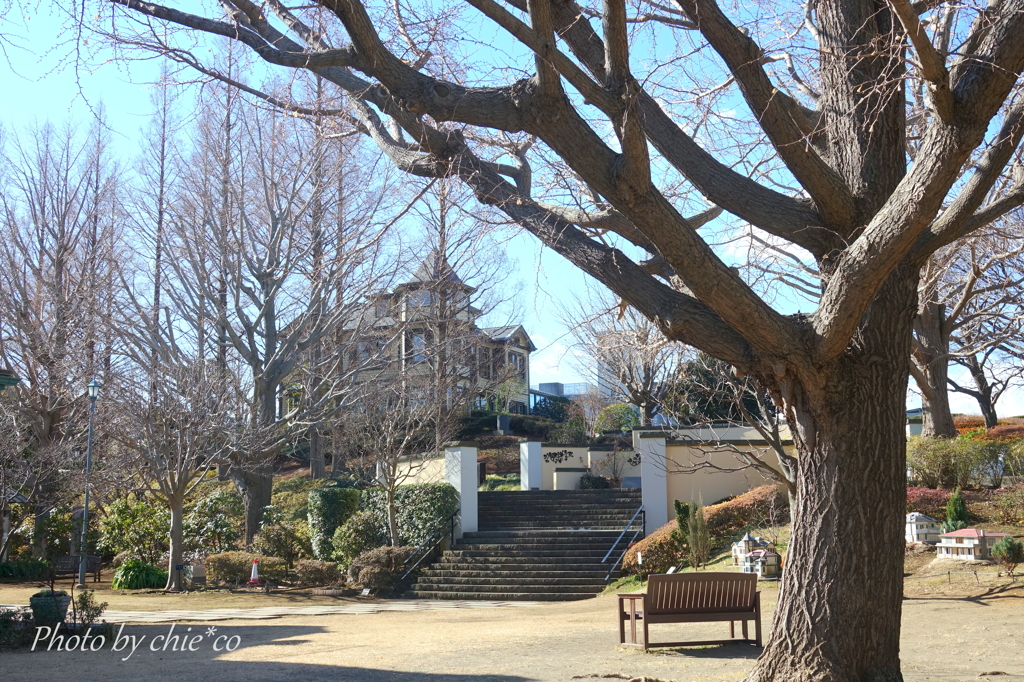 イタリア山庭園-038