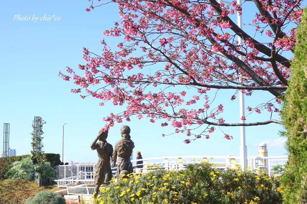 山下公園-106