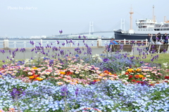 山下公園-134