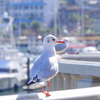 熱海-131