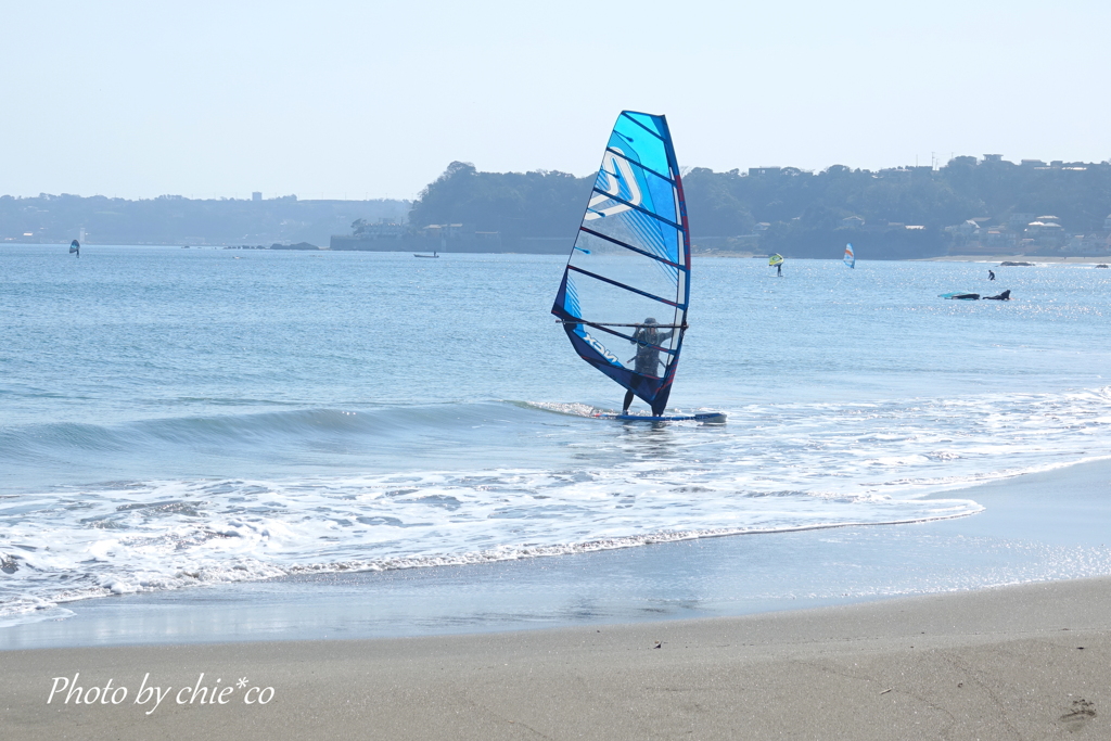 三浦海岸-253