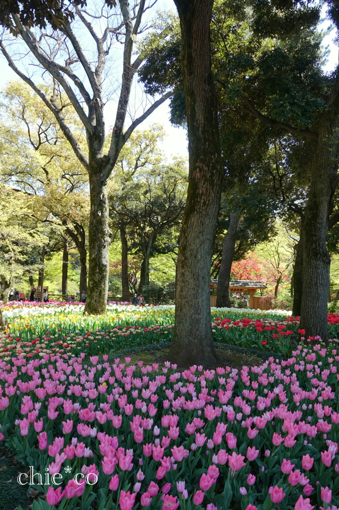 Yokohama-399
