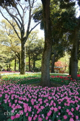 Yokohama-399