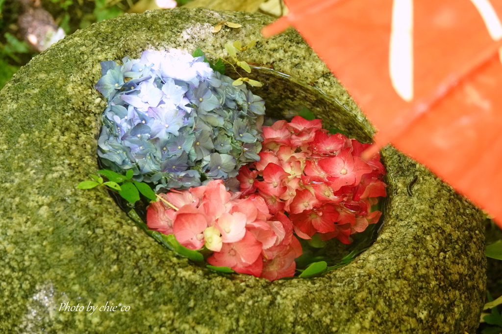 一条恵観山荘-144