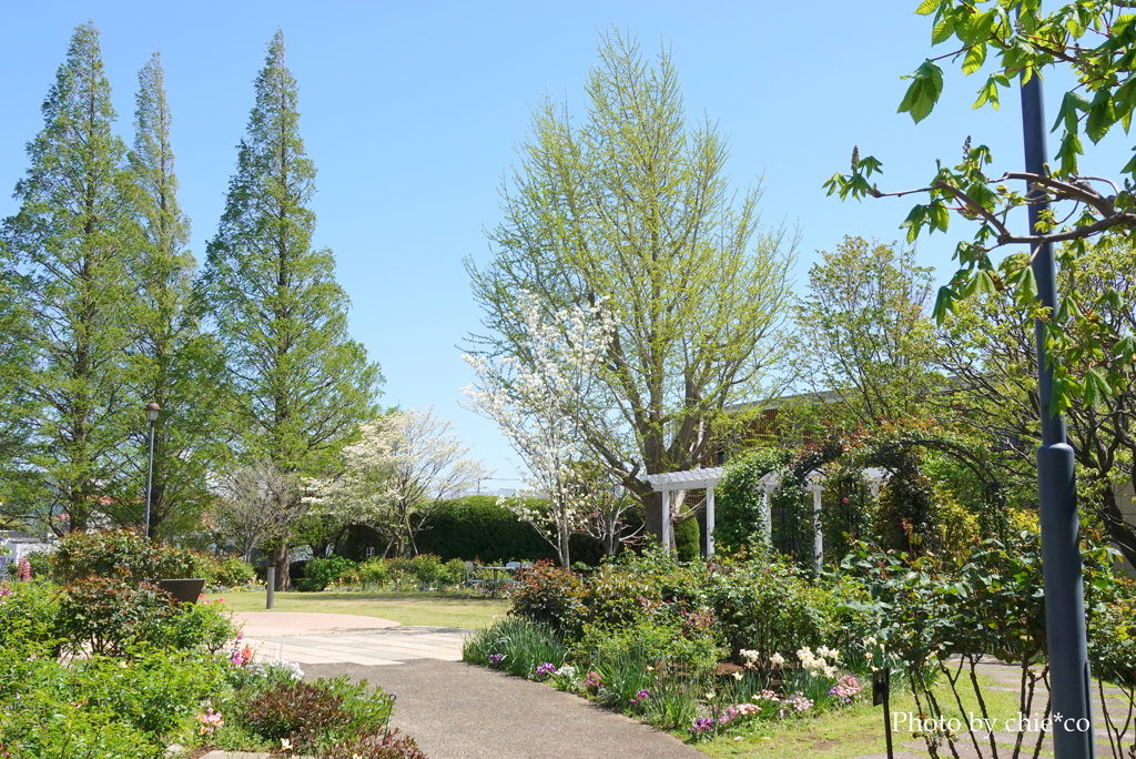 山手イタリア山庭園-106