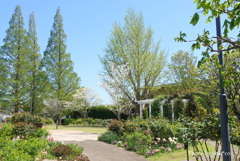 山手イタリア山庭園-106