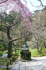 鎌倉-437