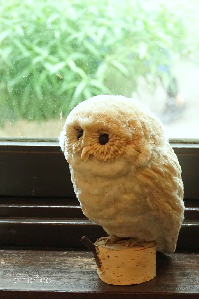 花と器のハーモニー2019-341