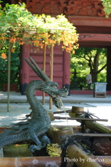 鎌倉-098