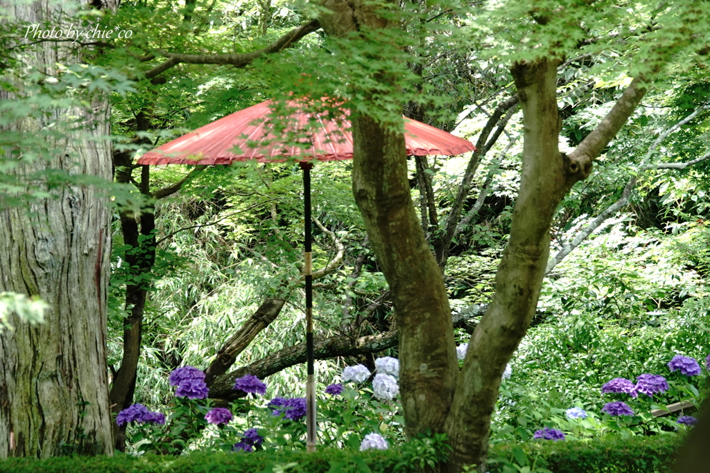 鎌倉一条恵観山荘-166