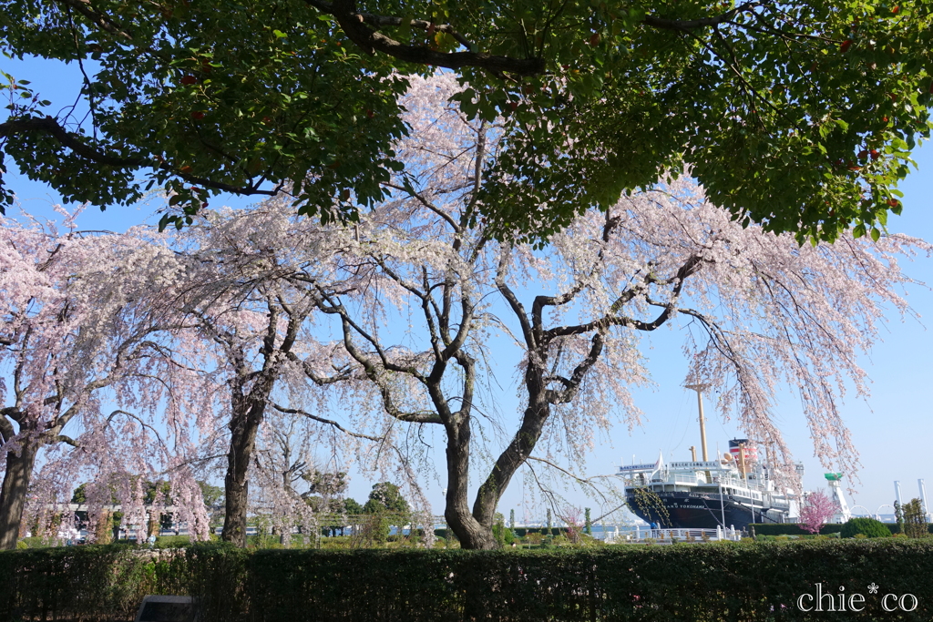 Yokohama-196