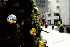 DSC09455-001