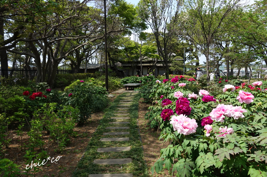 龍華寺 伊藤博文別邸-201