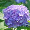 鎌倉-130