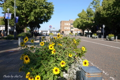 横浜の海辺さんぽ-044